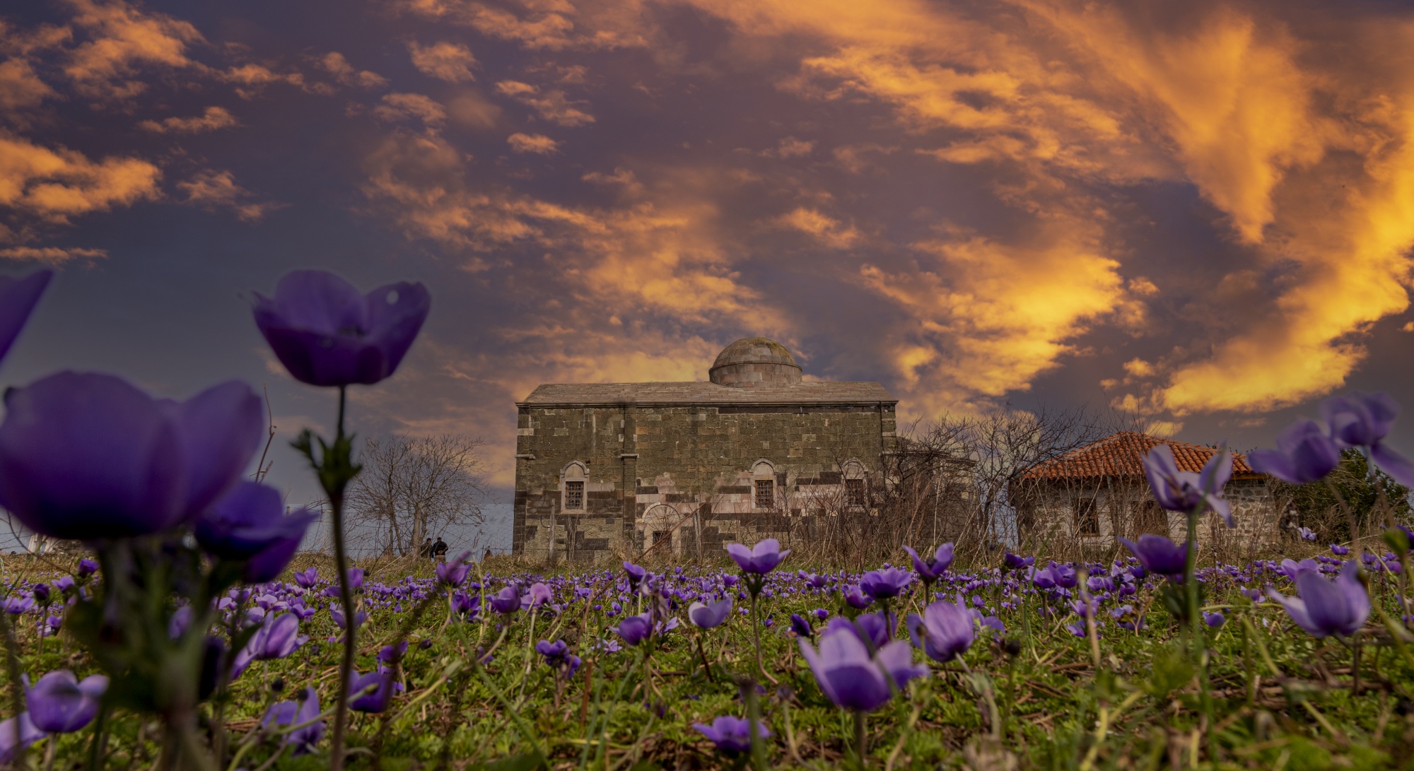 Perşembe Yason Burnu